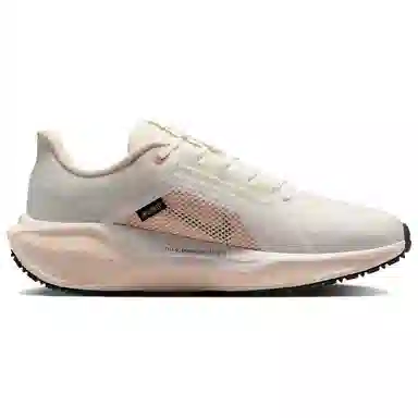 Nike Pegasus 41