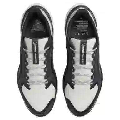 Nike Pegasus 41 GORE-TEX