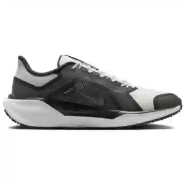 Nike Pegasus 41 GORE-TEX