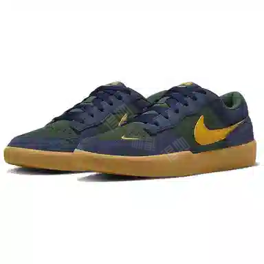 Nike SB Force 58