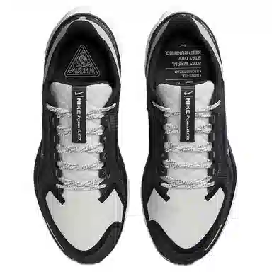 Nike Pegasus 41 GORE-TEX