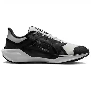 Nike Pegasus 41 GORE-TEX