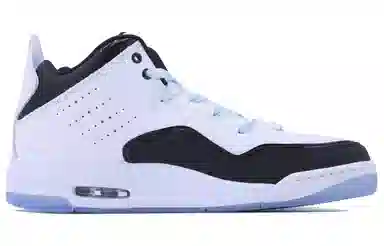 Jordan Courtside 23 SDS