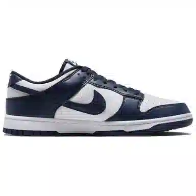Nike Dunk Low Retro White Blue