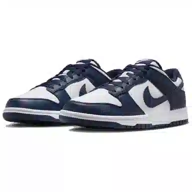 Nike Dunk Low Retro White Blue