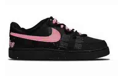 Nike Court Vision
