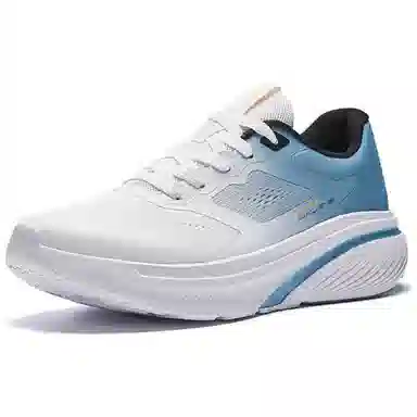 Anta