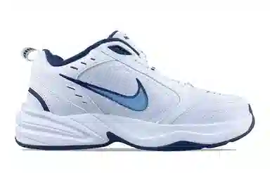 Nike Air Monarch 4