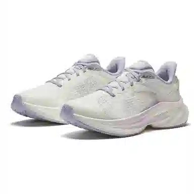Anta 6