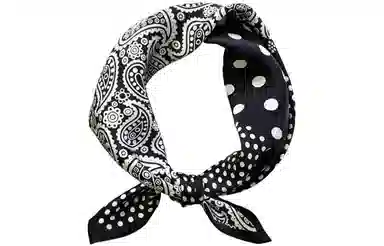 优幽兰 时尚潮流小众设计感腰果花头巾小方巾简约高级感领巾围脖子搭配衬衫西装薄围巾 丝巾 女款