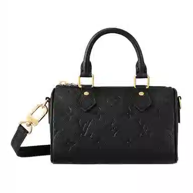 LOUIS VUITTON Speedy Nano