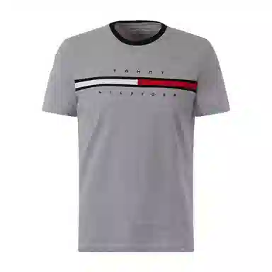 Tommy Hilfiger T