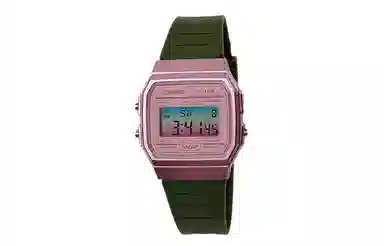 CASIO F-91W-1
