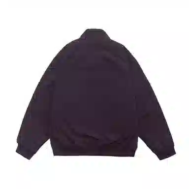PINSCIO ZENIE