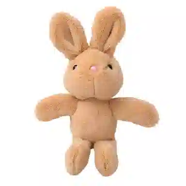 25cm