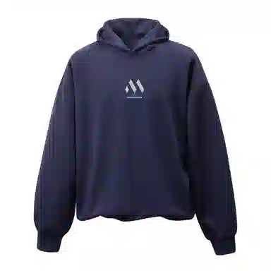 MASKPARK Hoodie