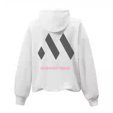 MASKPARK Hoodie