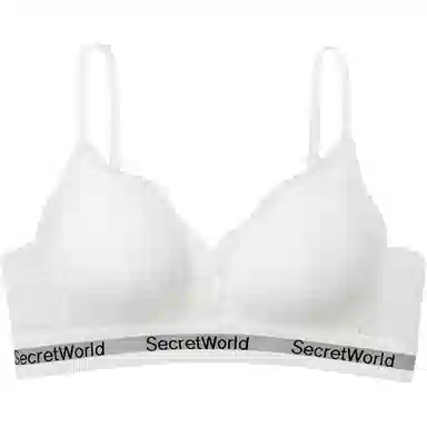 SecretWorld