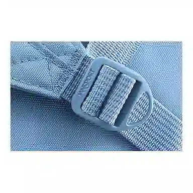 JanSport Butterfly Print Backpack