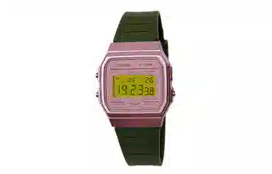 CASIO F-91W-1