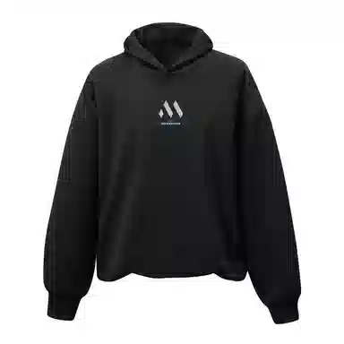 MASKPARK Hoodie