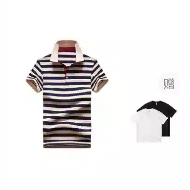 PIERRE CARDIN Polo