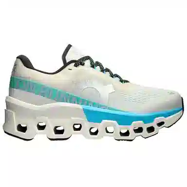 On Cloudmonster 2 WMNS