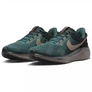 Nike Air Zoom Pegasus 41 SP