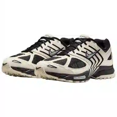 Nike Air Pegasus 2005