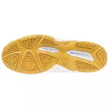 Mizuno Gate Sky Plus 4