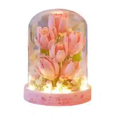 301-600pcs OLY-WJJM-06