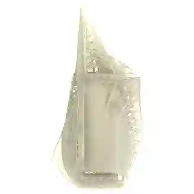 SCRY Thorn Minibag Transparent