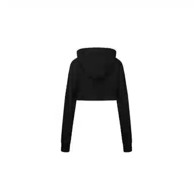 SCULPTOR Glitter Flag Crop Hoodie Black