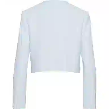 ARITZIA Babaton Anchor Jacket
