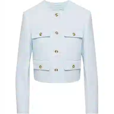 ARITZIA Babaton Anchor Jacket