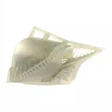 SCRY Thorn Minibag Transparent