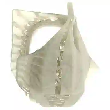 SCRY Thorn Minibag Transparent