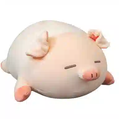 40cm50cm60cm80cm