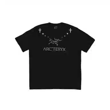 Arcteryx logoT