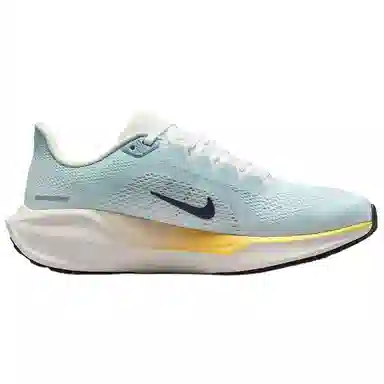 Nike Air Zoom Pegasus 41