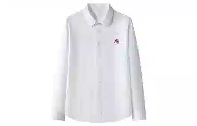 王者荣耀 轻商务大码极简经典易打理不易褶皱挺括简约韩系柔软透气松弛感叠穿高级感通勤日常纯色百搭毕业正式休闲宽松长袖衬衫 男女同款