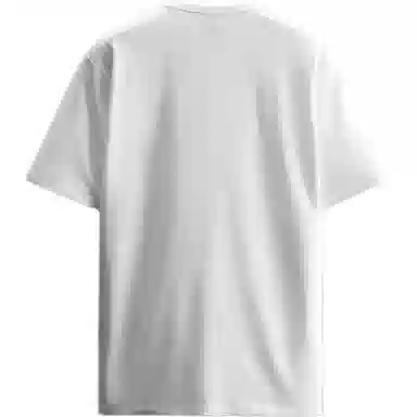 ZARA T