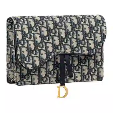DIOR Saddle Oblique