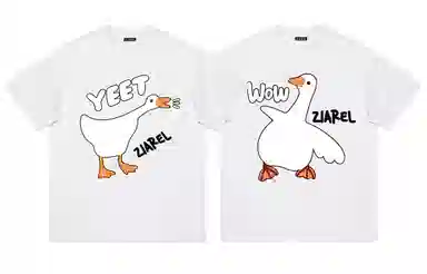 ZIAREL LogoT