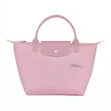 LONGCHAMP Le Pliage Green
