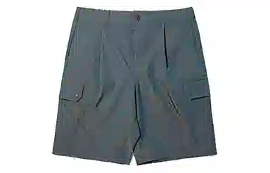 Dickies