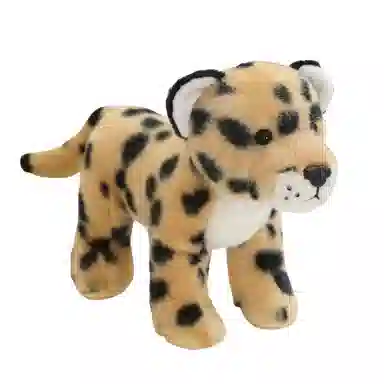 20cm