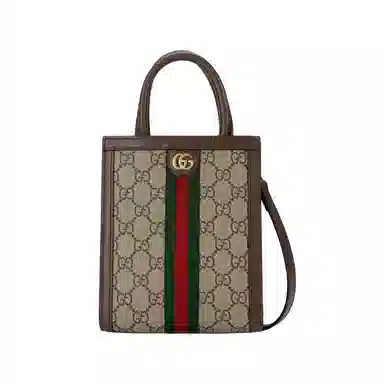 Gucci Ophidia Mini Bag