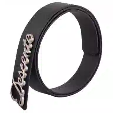 DESCENTE LOGO - -