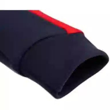 Anta